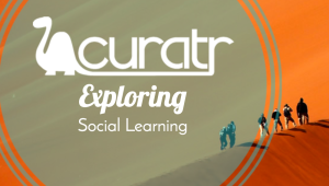 Exploring Social Learning