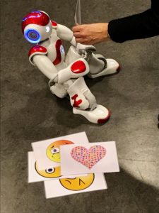social robot